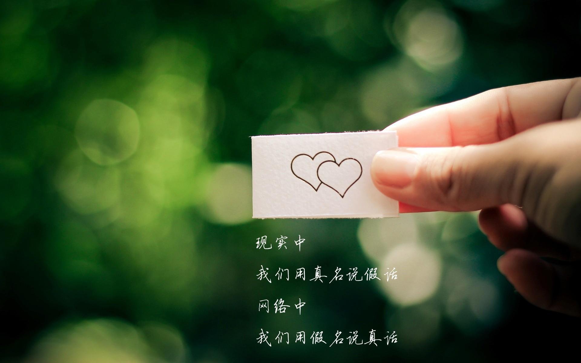 _鹈鹕队连胜势不可挡，球迷欢呼_，鹈鹕队最新阵容