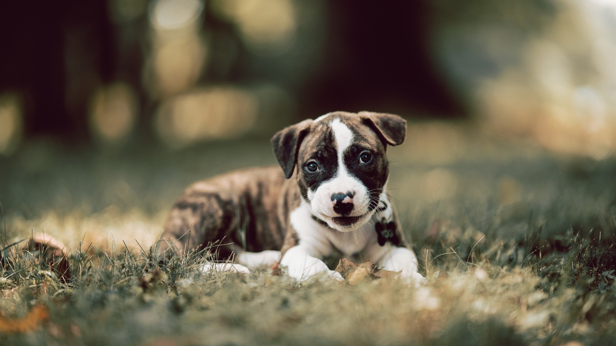 华体会hth登录地址-“破局秘诀：快船的高效挡拆配合详解”，快船解析