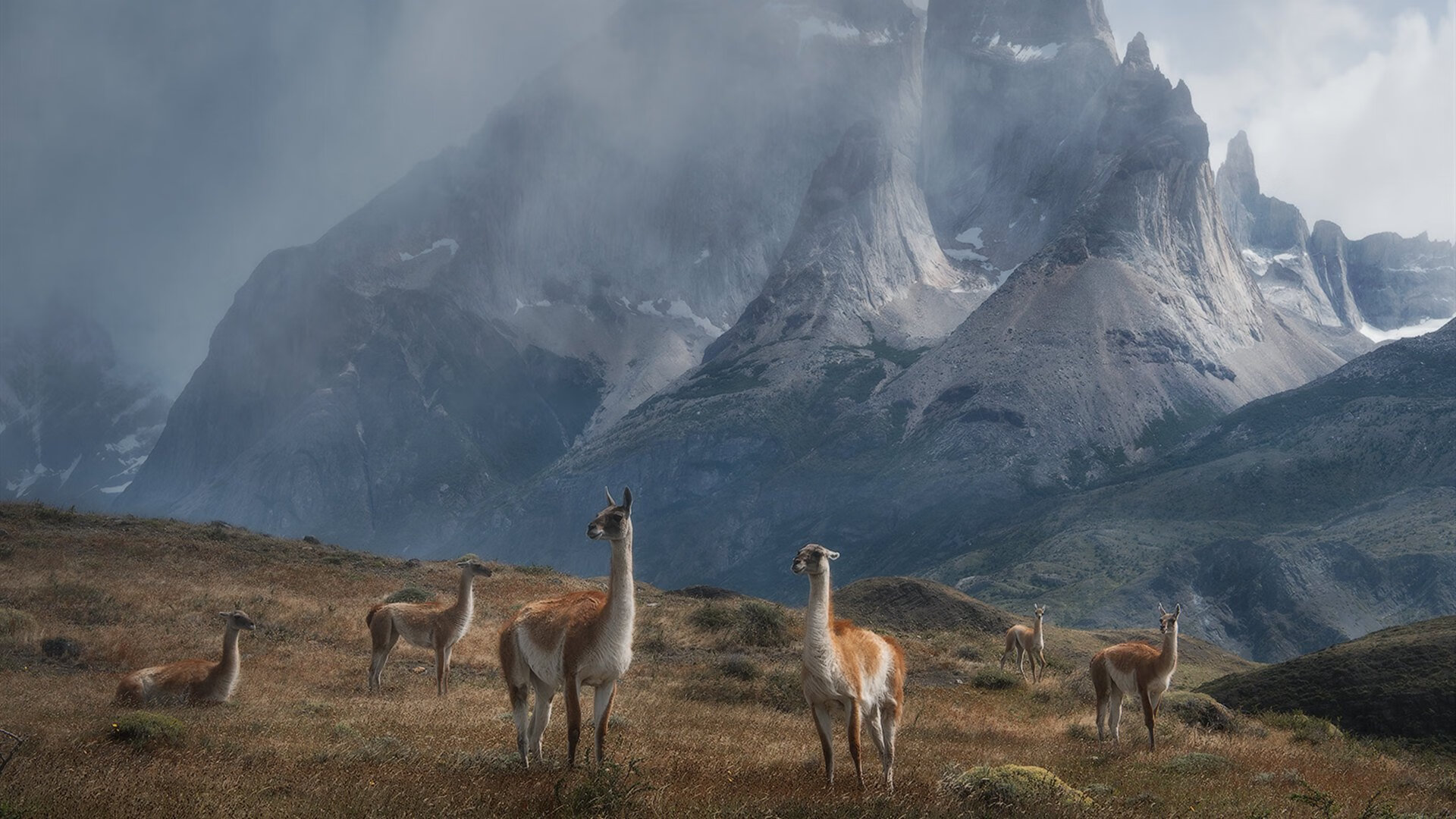 “青训基地引入高端仿真训练系统,提升实战能力”,青训基地是什么