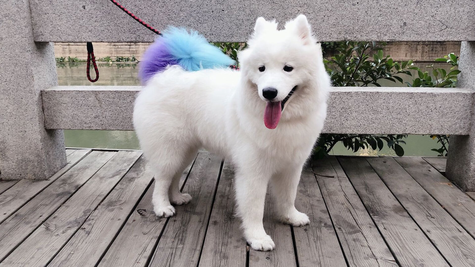 《守望先锋》联赛与《风暴英雄》世界锦标赛的团队协作对比,风暴英雄守望先锋联动