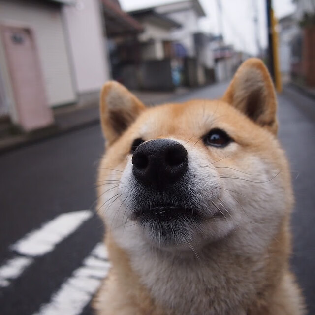 《炉石传说》选手:卡牌游戏的策略思考与心理素质,炉石传说卡牌选择