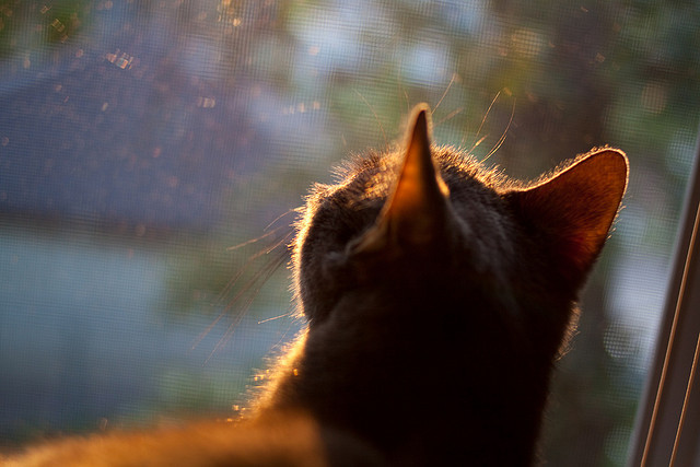 现场实况:现场观众的热情互动瞬间,被现场观众热情打动