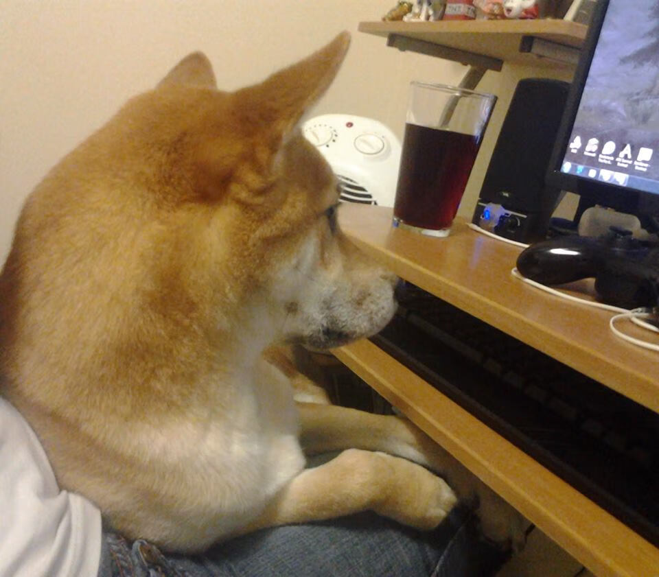 独家分析:专家解读近期比赛的战术演变,比赛中运用战术的表现的基本形式