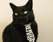 秘密训练:车手训练营的内幕,秘密训练免费版