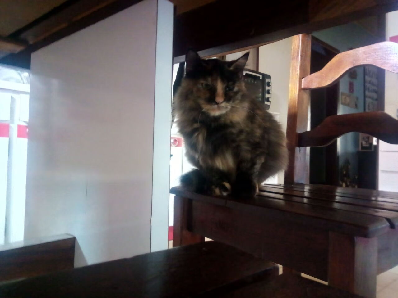 中国足球文化影响力扩大,吸引更多年轻球迷,中国的足球文化