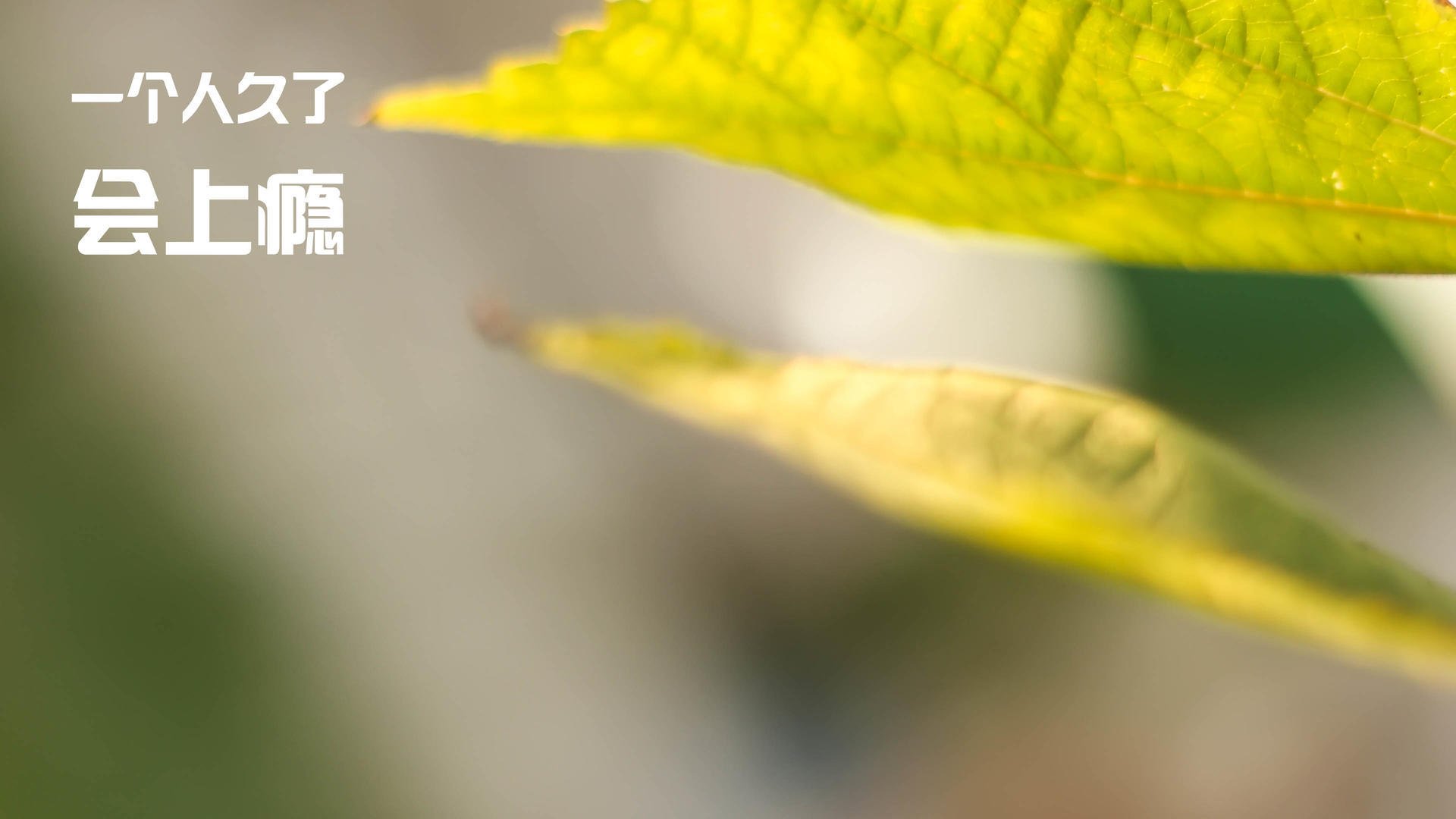 华体会手机在线-利物浦失分后势必追赶，欧冠希望更渺茫，利物浦欧冠晋级之路