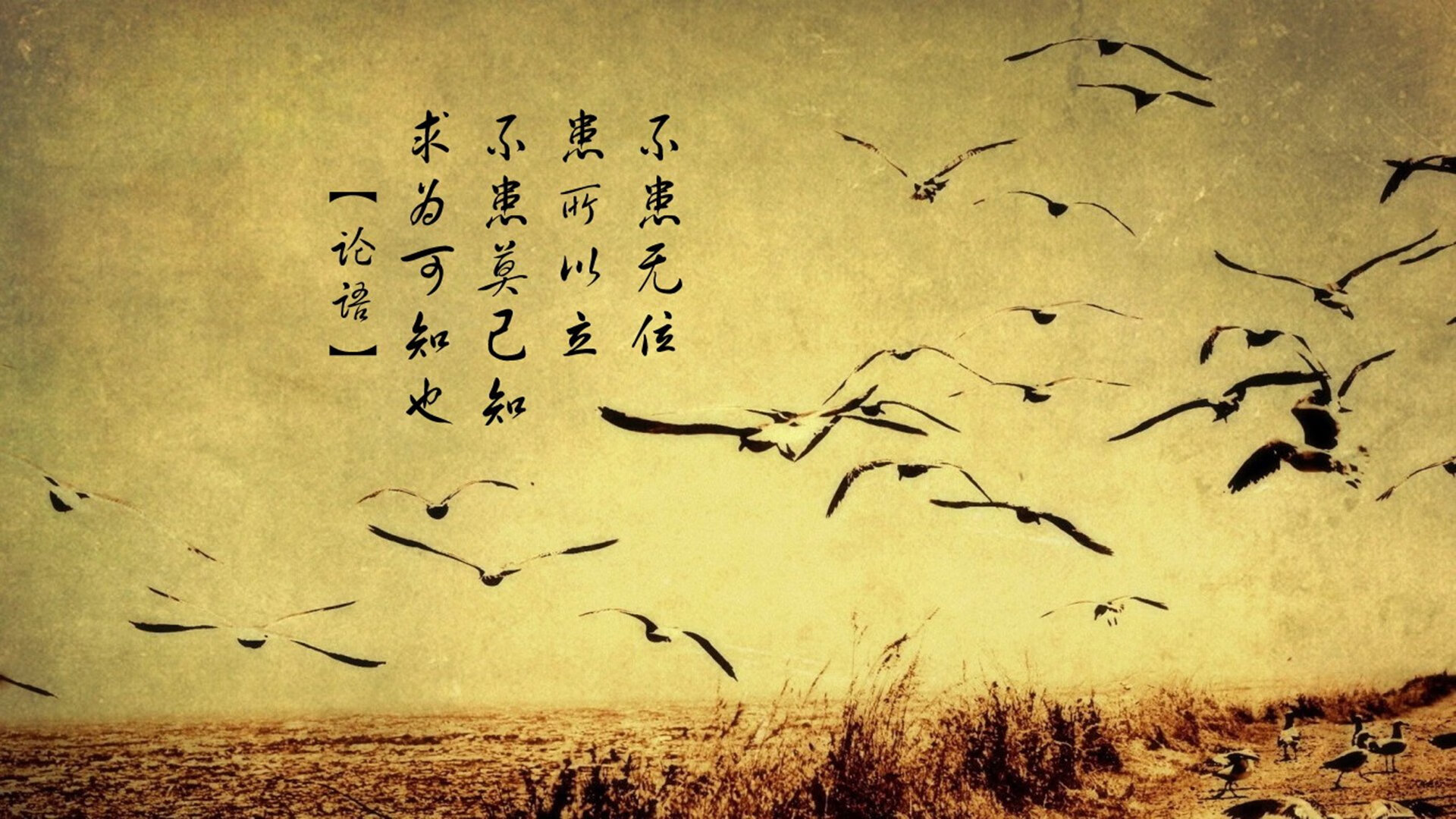 华体会hthapp注册-尤文图斯大将破门得分，团结一心赢得胜利，尤文图斯的门将是谁