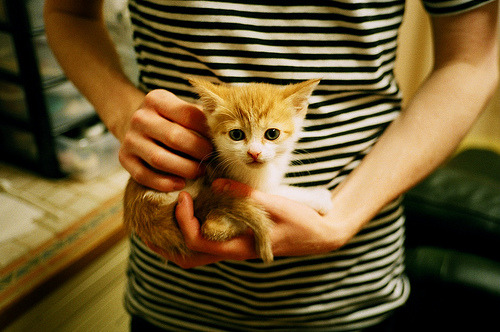 强强对话!国内顶级足球盛事引发热议,中国足球顶级联赛总排行榜