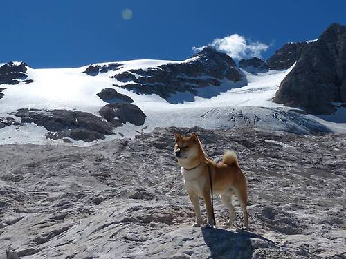 雷霆逆转公牛,常规赛巅峰对决中亚历山大三分雨不断,公牛战绩