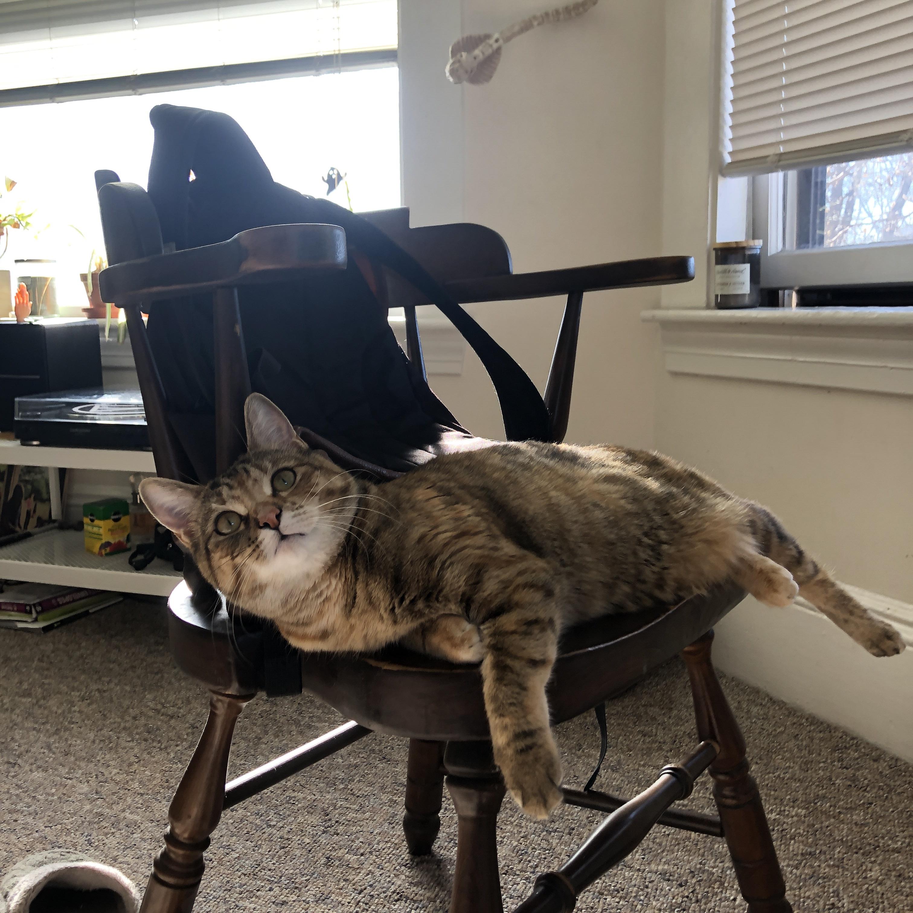 马竞前锋不满表现,呼吁全队加强进攻,马竞的前锋