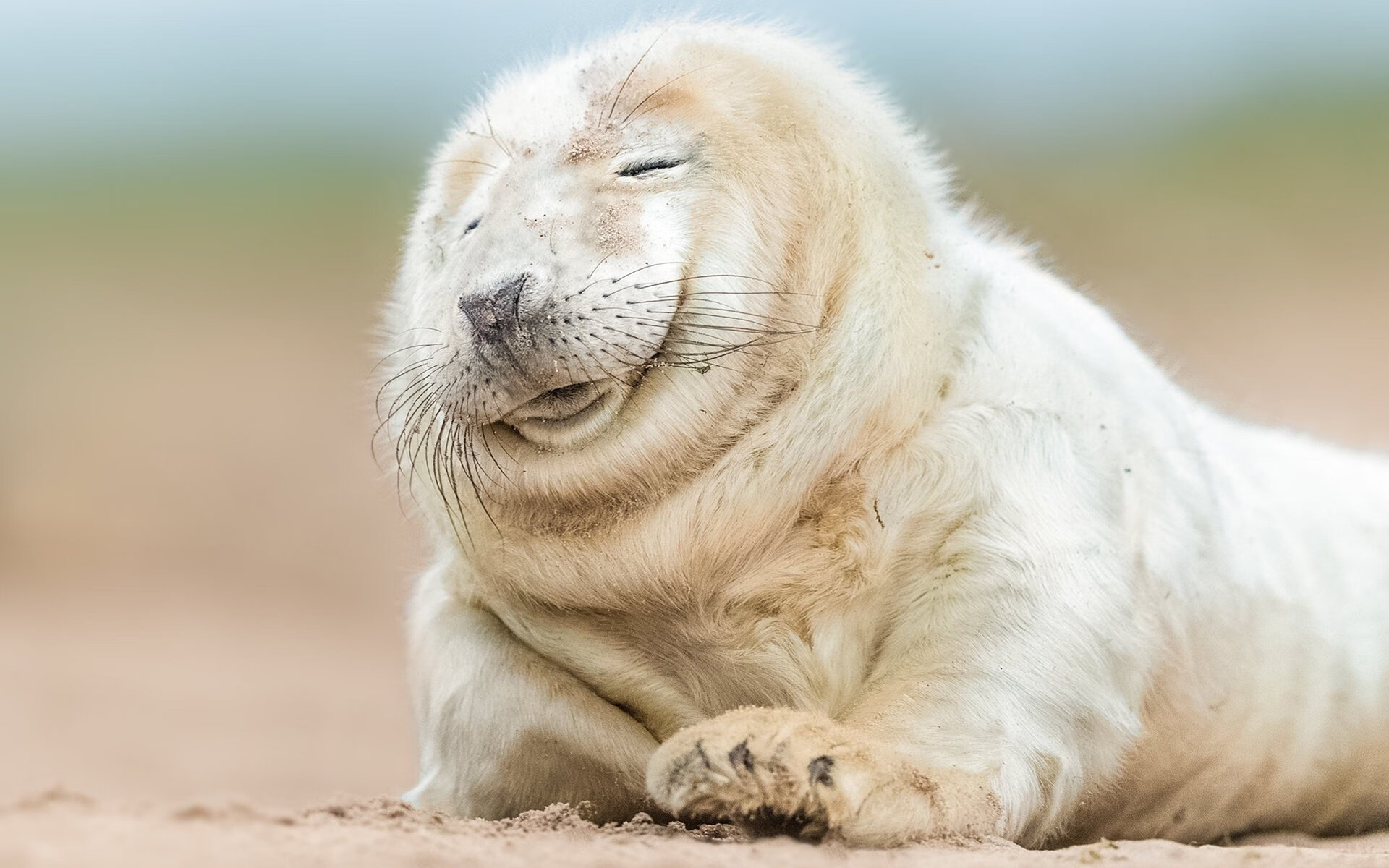 世界青少年飞盘比赛火爆青岛,青春无限,2020年的团队飞盘世界锦标赛