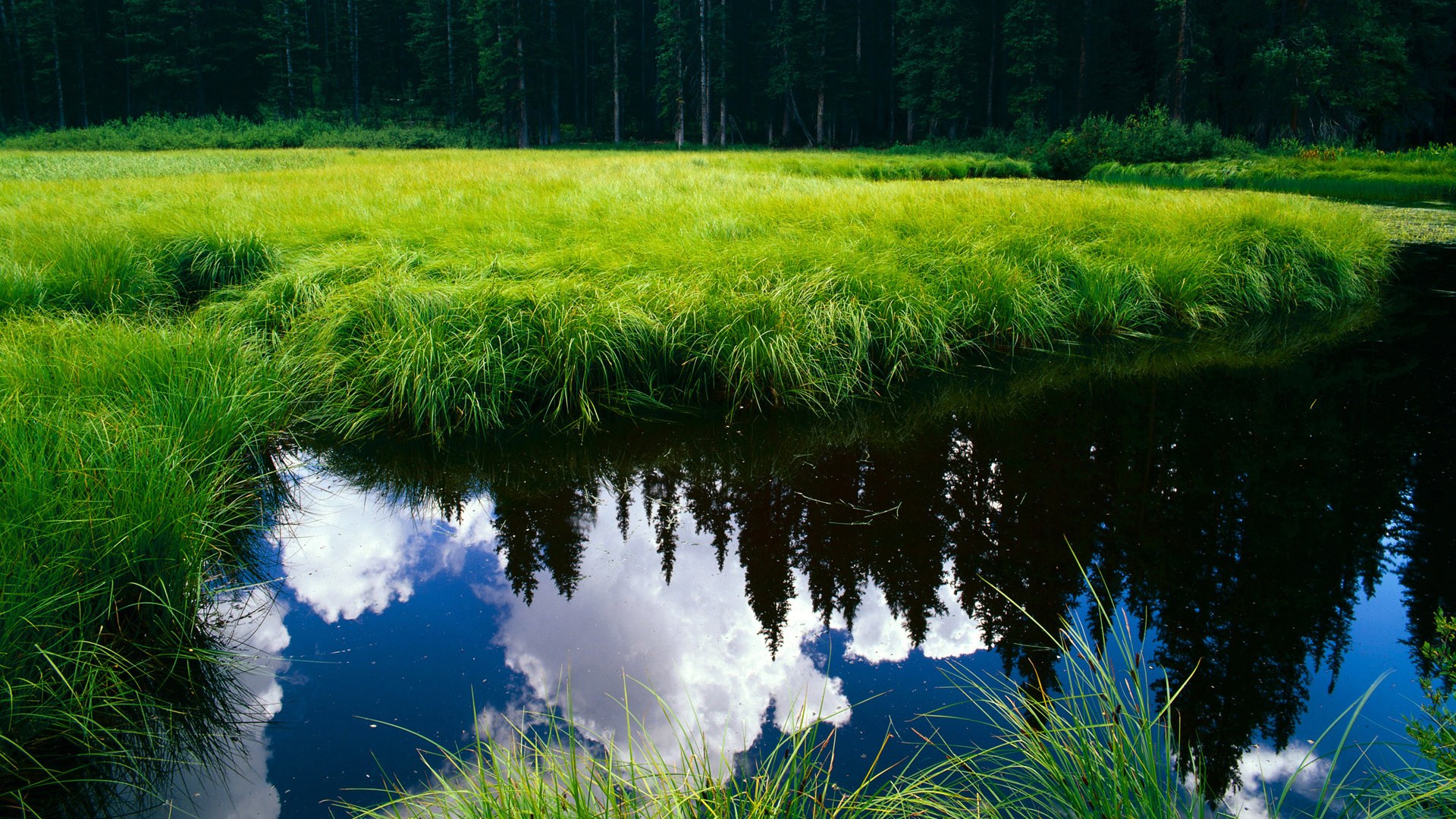 中国足球体能与赛程匹配度研究,国家足球队体能标准