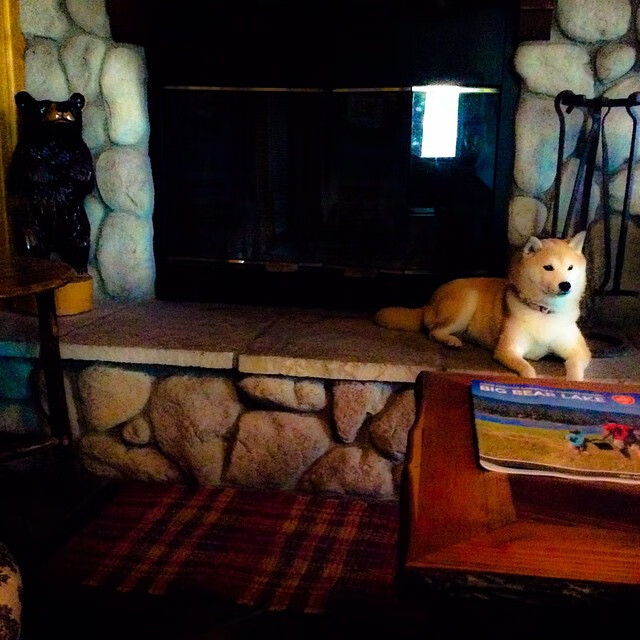 中小学体育教师激励机制研究,中小学体育教师培训