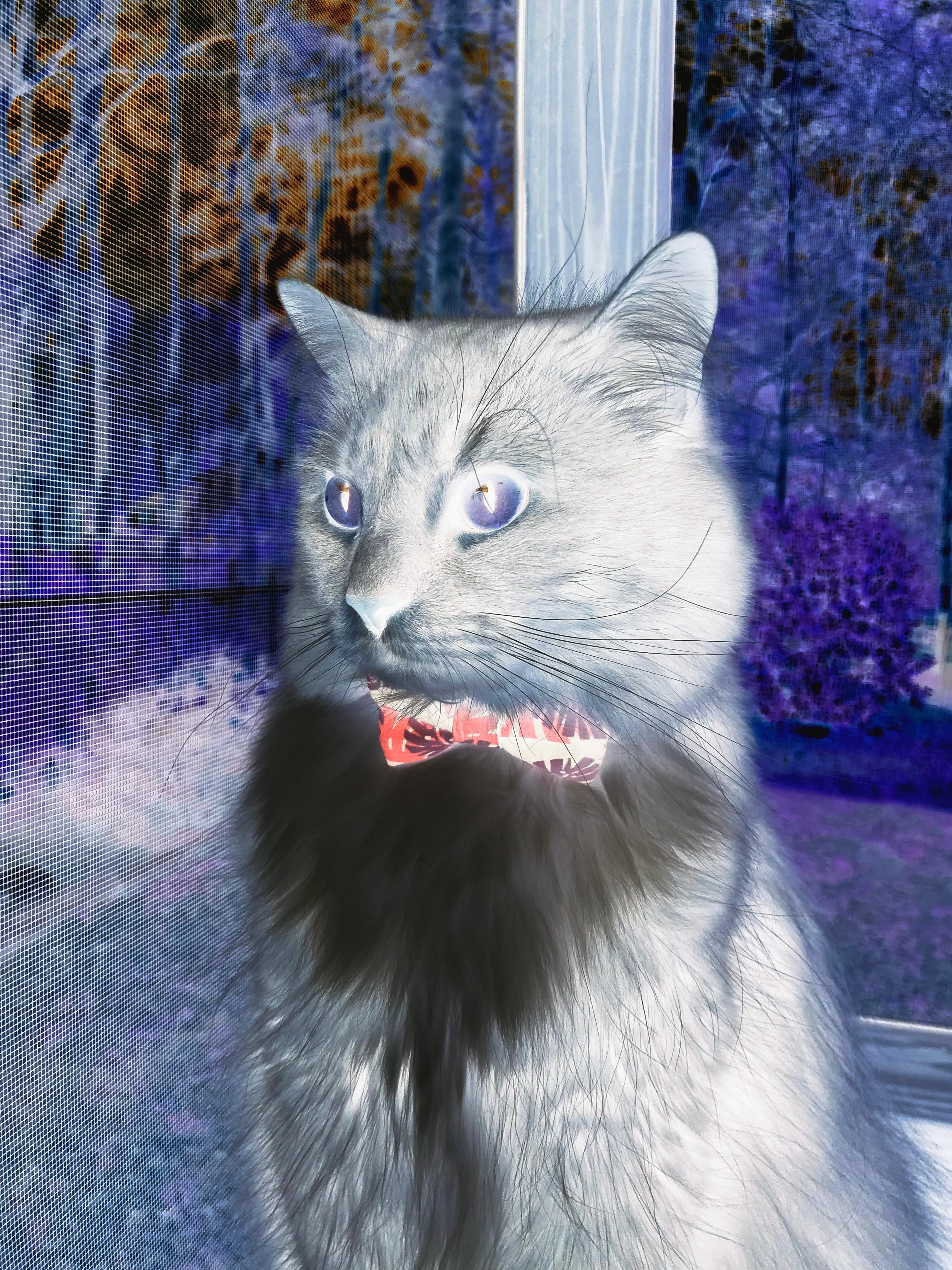 世界杯小组赛焦点战 英格兰21逆转德国,世界杯2022英格兰