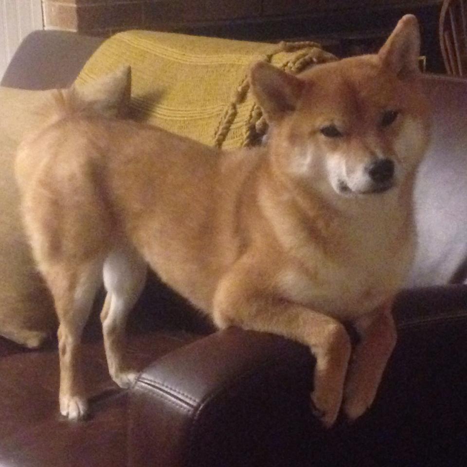 华体会hth在线登录-国家队心理素质训练资源短缺，国家队心理辅导