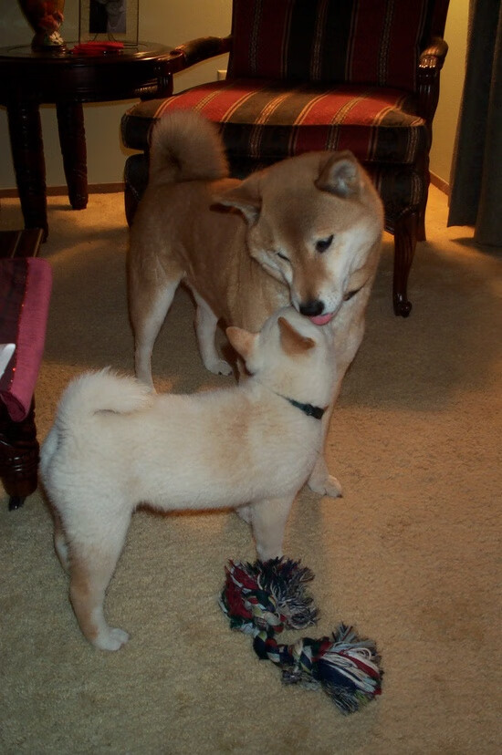 华体会hthapp登入-恩波利推进连贯提升场面控制力，恩波利转会