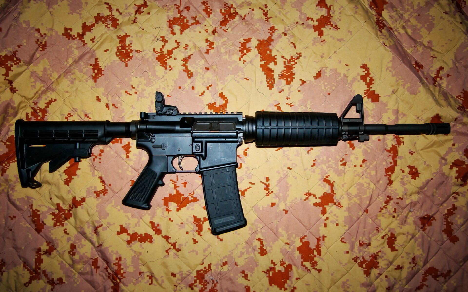 澳男泳队团结奋进 为巴黎蓄力,澳大利亚男子游泳冠军