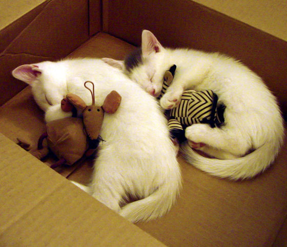 华体会hth官网入口-马竞全队逼抢压制对手传控体系，马竞全攻全守