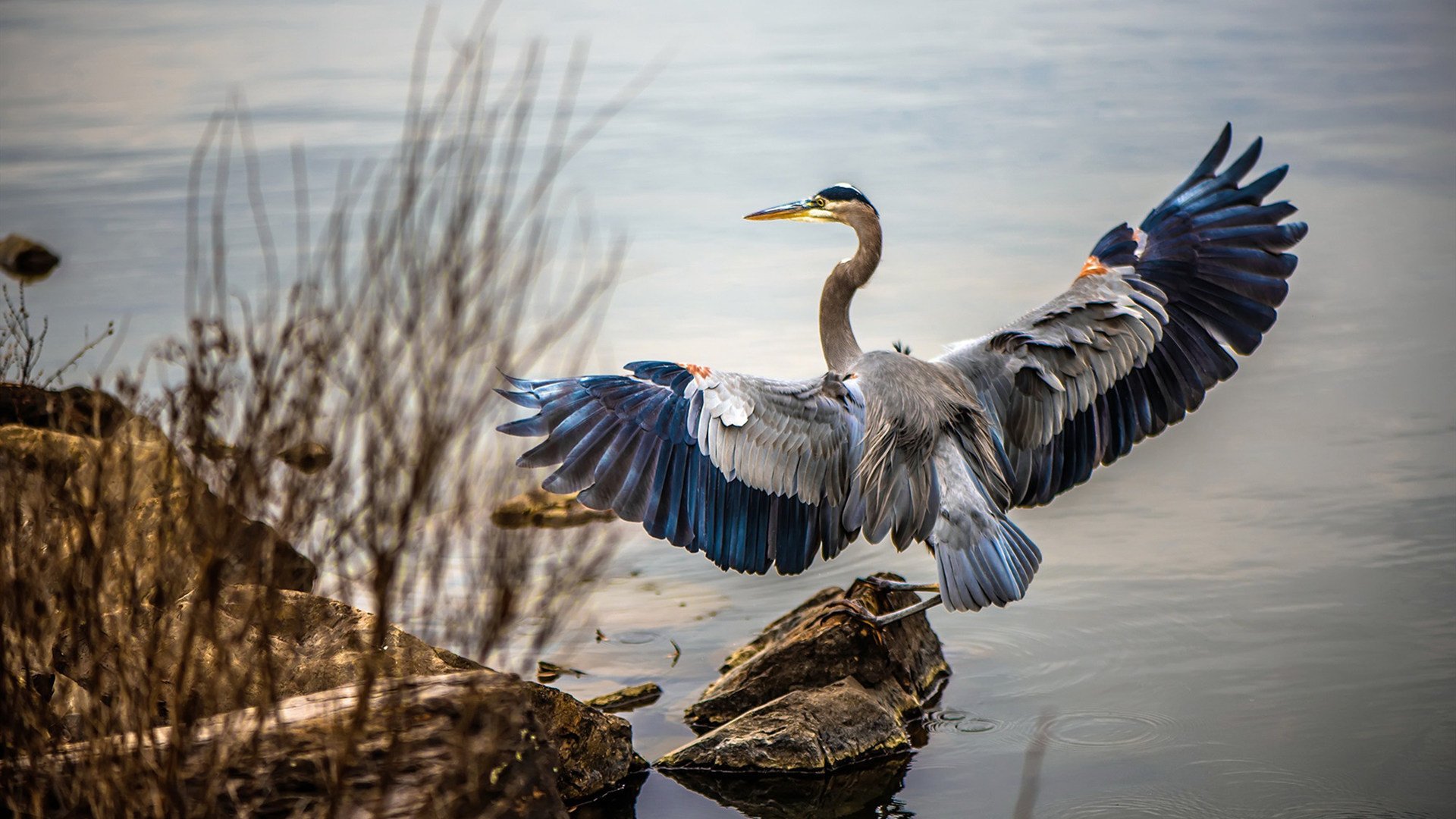 中超首设公平竞赛积分用于年终表彰与奖金分配，2021年中超联赛积分规则