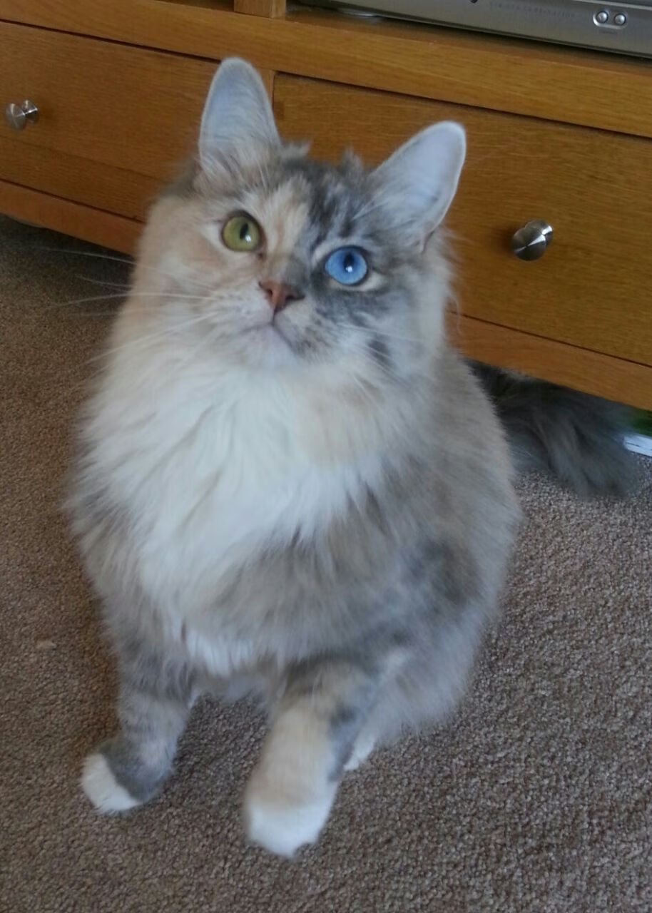 布隆迪男篮在非洲预赛中奋勇向前,战斗精神昂扬