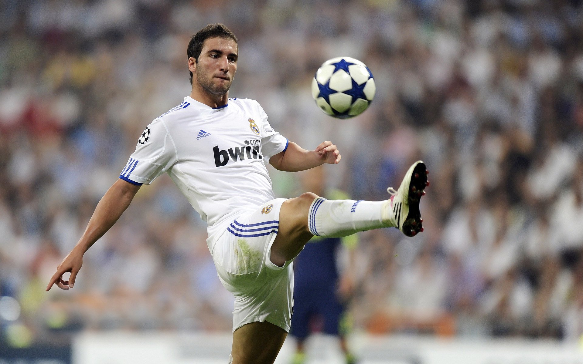 _雄鹿队持续发力，字母哥三双_，字母哥雄鹿队球衣