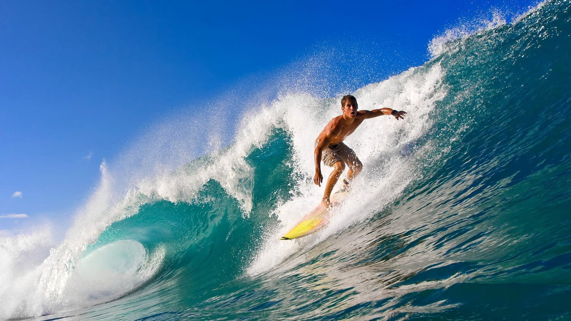 特色青训“产业+文化”创新发展路径在行业中不断探索，行业未来可期